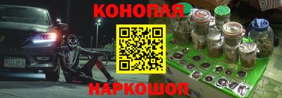 шишки Апшеронск