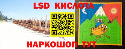 гидропоника Гусев