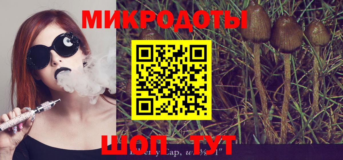 Галлюциногенные грибы мухоморы  Вход с VPN  Бийск 