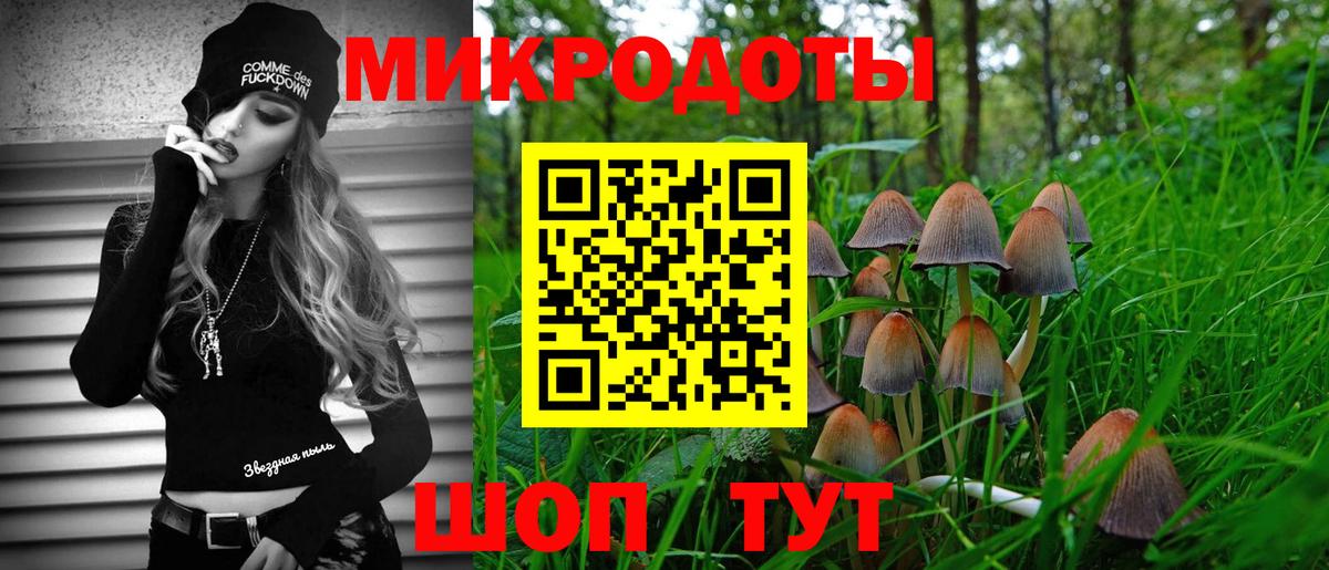 Псилоцибиновые грибы мицелий Бийск